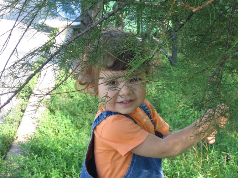 Gia si zambetul ei senin (2005)