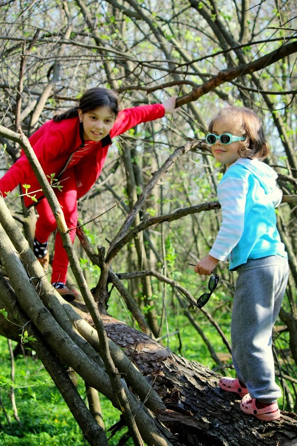 freedom. Aprilie 2014