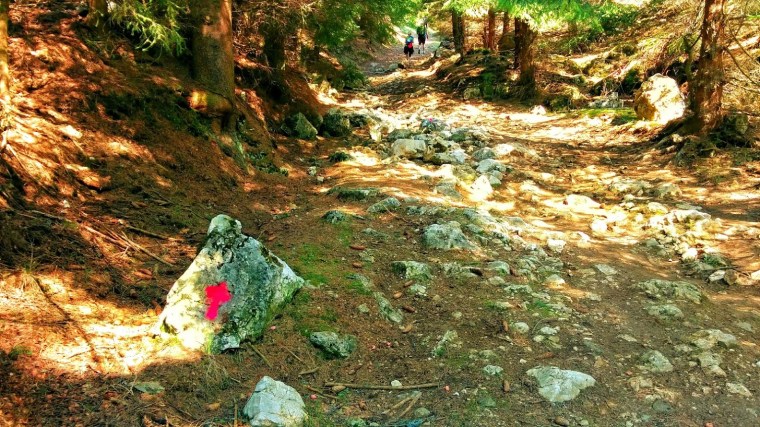 IMG_20150509_103341~2