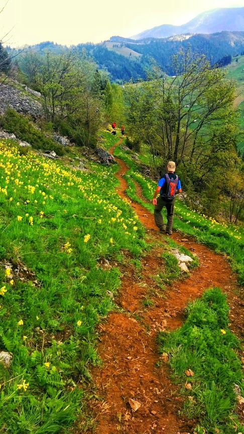 IMG_20150509_111832~2