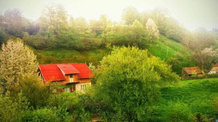 IMG_20150509_142149~2