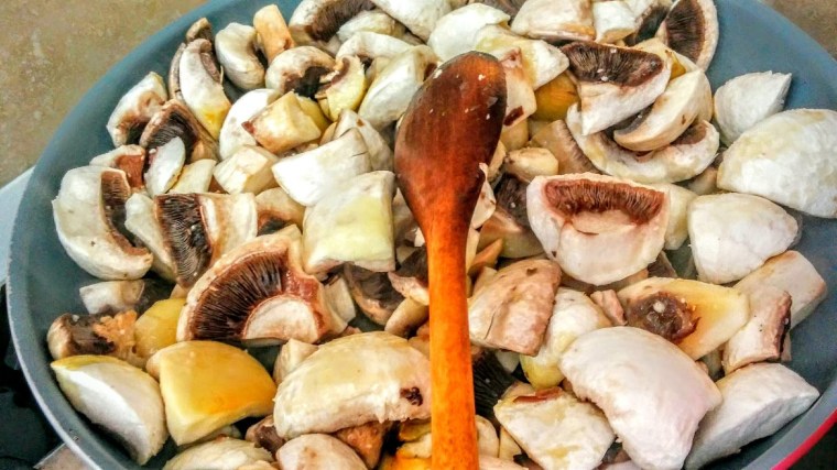 IMG_20150815_112740-2