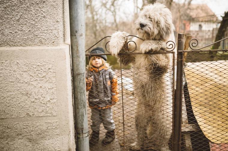 12016355_10153209588698546_1088723173_o