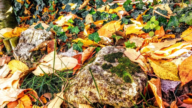 IMG_20151115_112608-2