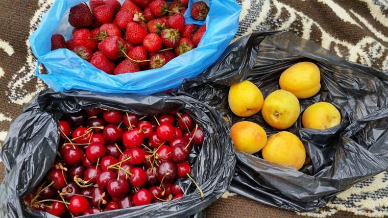 13343030_10153791545402842_4244137208153615546_n