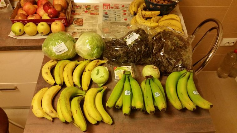 rECOLTA DE PRIMAVARA, 2017